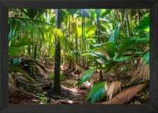 Listing image for Tropical rainforest Framed Wall Art Poster Canvas Print Picture