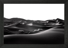 Listing image for Sahara Framed Wall Art Poster Canvas Print Picture
