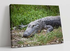 Listing image for CROCODILE LARGE CANVAS WALL ART FLOAT EFFECT/FRAME/PICTURE/POSTER PRINT- GREEN