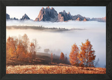 Listing image for Carpathian mountain forest Framed Wall Art Poster Canvas Print Picture
