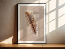 Listing image for Single Feather Macro Photography Style Minimal Nature Art Print