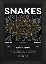 Listing image for Mangrove Snake Reptile Keeper Poste Framed Wall Art Poster Canvas Print Picture