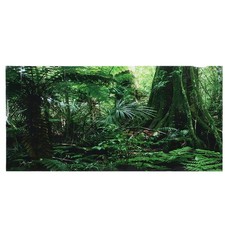 Listing image for PVC Reptile Box Rainforest Background Poster Fish Tank Wall Picture Painting NEW