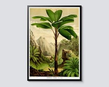 Listing image for Tropical Tree Vintage Illustration, Palm Jungle Botanical Print, Green Wall Art