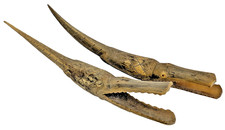 Listing image for Pair of Vintage Hand Carved Crocodile Alligator Tribal Ornaments 16 Inches
