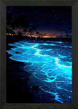 Listing image for Bioluminescent Beach at Night Framed Wall Art Poster Canvas Print Picture