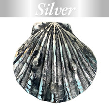 Listing image for Metal Sea Shell Decor 13cm Coastal Beach Wall Art - Scallop Shell Ornament