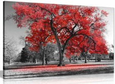 Listing image for Large Tree Red Leaves Black White Nature Canvas Wall Art Picture Print