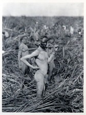 Listing image for Nuer Warriors in Swamp, Tribes of Africa, South Sudan, 1930 photogravure