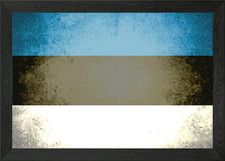 Listing image for Estonia vintage flag Framed Wall Art Poster Canvas Print Picture