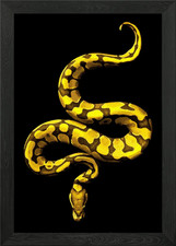 Listing image for Snake Reptiles Framed Wall Art Poster Canvas Print Picture