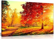 Listing image for Autumn Scene Trees And Leaves In Sun Light Canvas Wall Art Picture Print