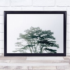 Listing image for Timor-Leste Timor Leste Asia Tree Jungle Trees Fog Foggy Wall Art Print