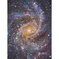 Listing image for Hubble Space Telescope NGC 6946 Supernova Fireworks Galaxy XL Art Canvas Poster