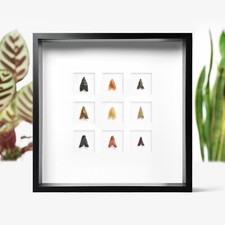 Listing image for Neolithic Arrowhead Collection Fossil Shadow Box Frame Wall Art Interior Design