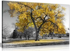 Listing image for Large Tree Yellow Leaves Black White Nature Canvas Wall Art Picture Print