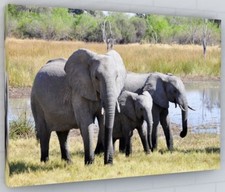 Listing image for ELEPHANTS AFRICA WALL ART CANVAS PICTURE PRINT LARGE 174