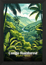 Listing image for Congo Rainforest Central Africa Ill Framed Wall Art Poster Canvas Print Picture