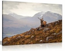 Listing image for Wild Stag Scottish Highlands Canvas Wall Art Picture Print