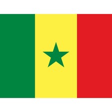 Listing image for Senegal National Flag World Flags Country Poster Huge Art Print Picture 18X24 In